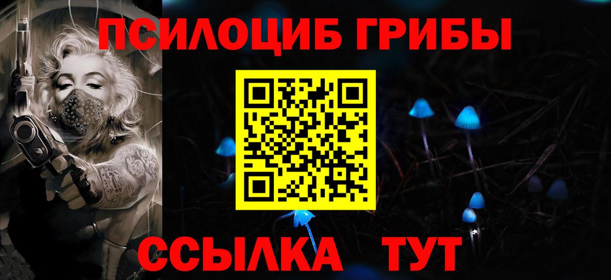 Свободный  Псилоцибиновые грибы GOLDEN TEACHER  Галлюциногенные грибы Magic Shrooms  Вход с VPN 